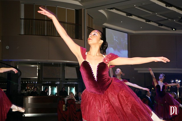 IMG_4446.jpg