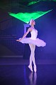 IMG_4528