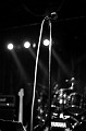 IMG_z2181